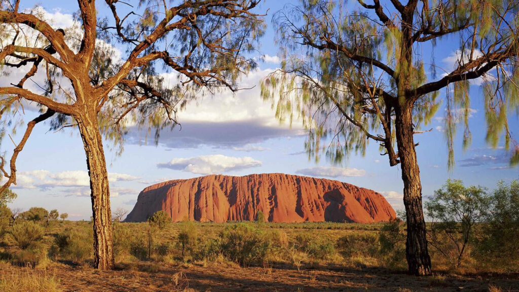 Red Uluru rock formation in Australian Outback framed by rugged trees under expansive sky wallpaper