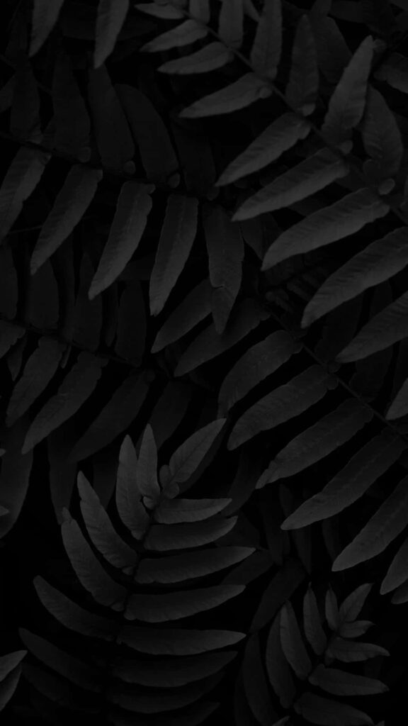 Shadowy Serenity: Monochromatic Foliage in Enigmatic Darkness - A Captivating Phone Wallpaper