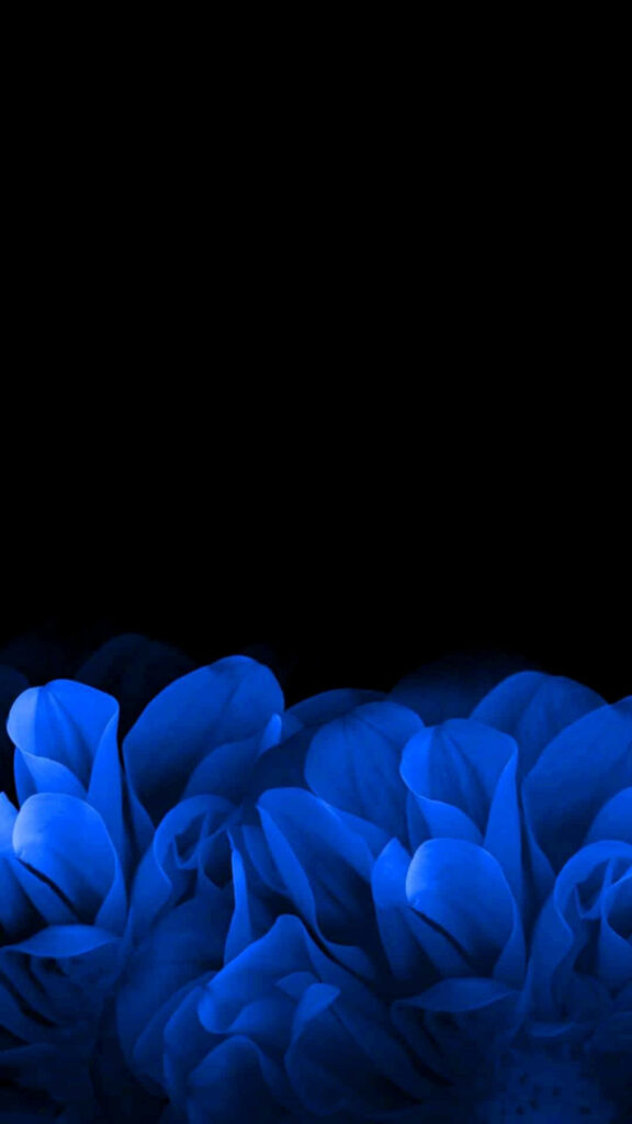 Minimalist AMOLED wallpaper with vibrant blue floral petals on deep black background for mobile