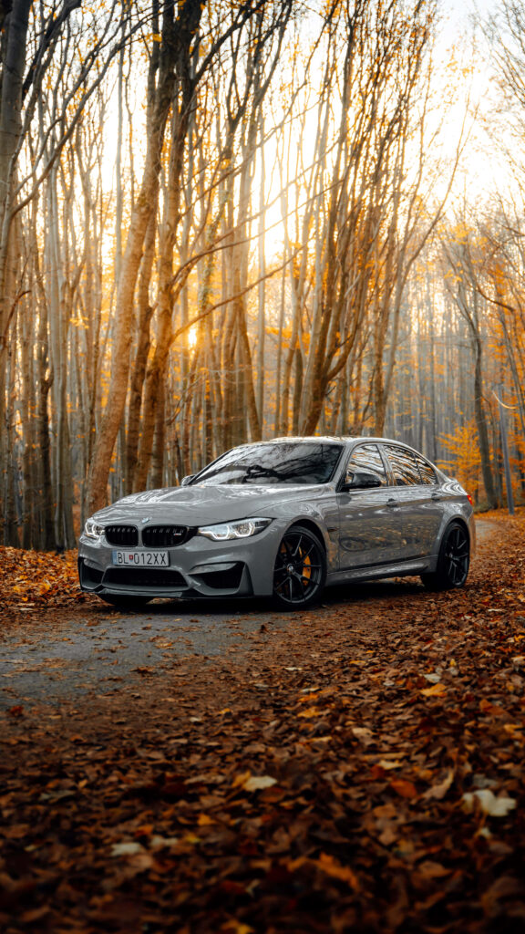 Autumn-Fall and Silver BMW M Series Car Wallpaper