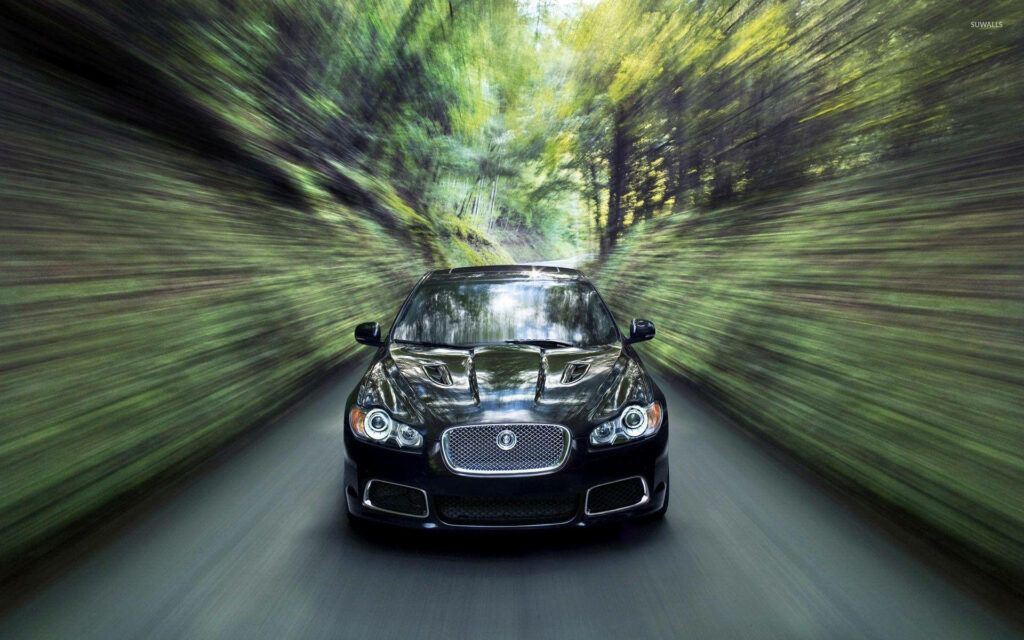 Racing Through Nature: An Epic Shot of a Sleek Black Jaguar Bolting down a Tree-lined Road Wallpaper