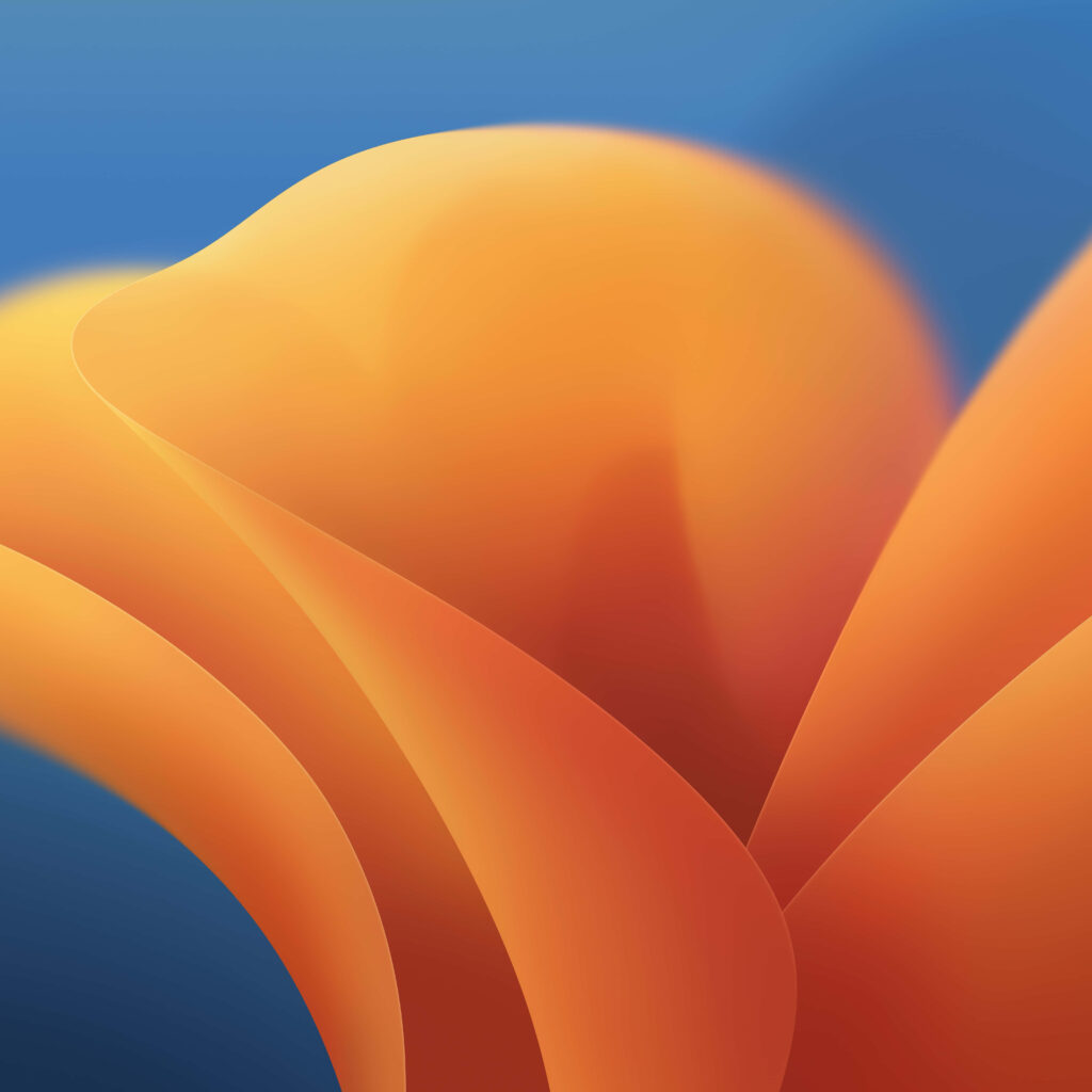 Abstract Orange and Teal Wallpaper: Fluid Shapes for Uplifting Background