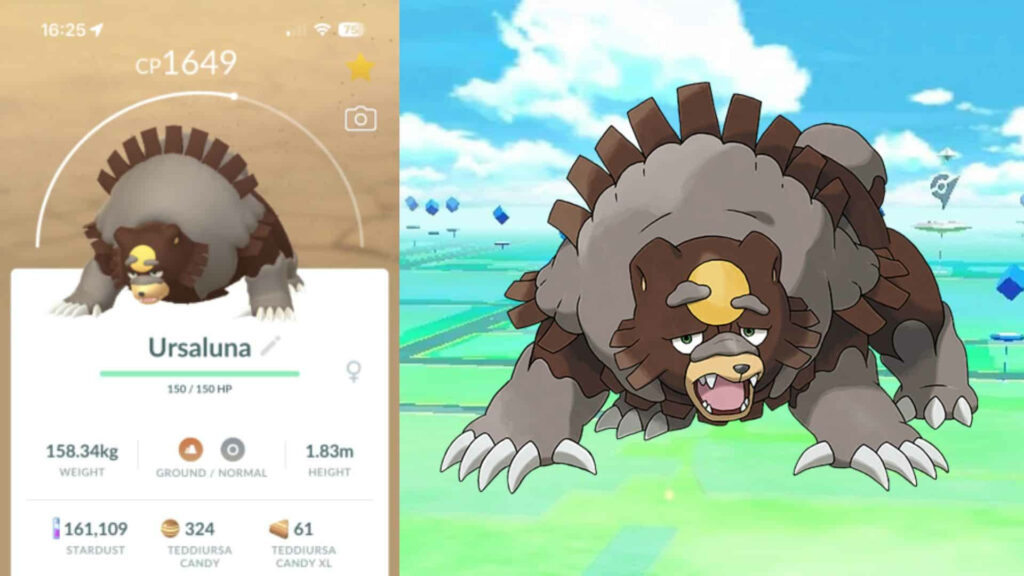 Ursaluna in Pokémon GO: Stats, CP 1649, & Map Background Wallpaper