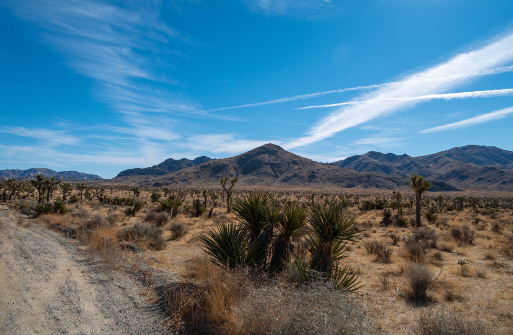 Vast desert landscape with rugged mountains bright blue sky and spiky bushes foreground wallpaper