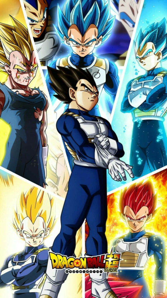 Dragon Ball Vegeta wallpaper showcasing iconic transformations from Saiyan to Super Saiyan Blue
