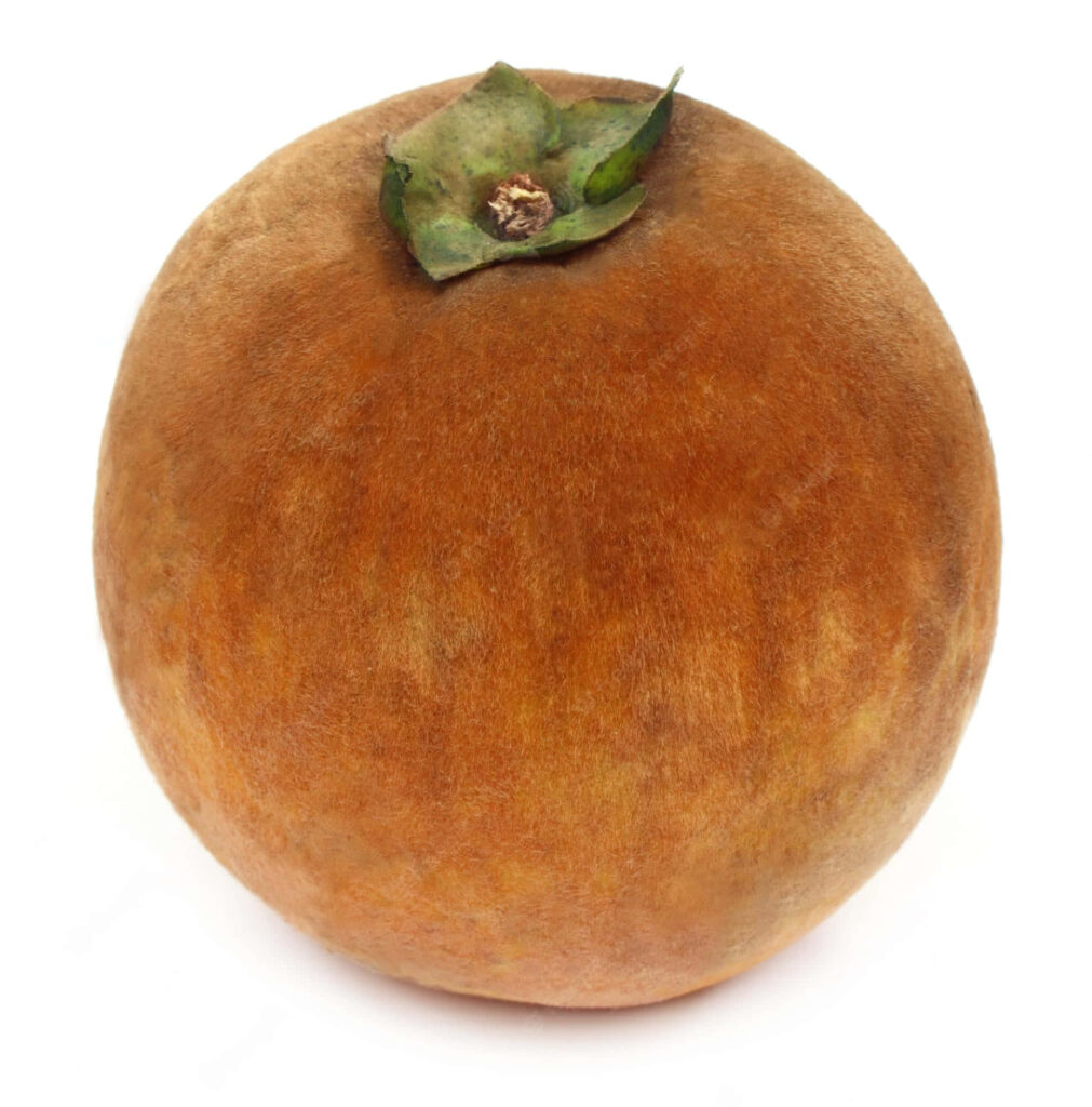 Velvet apple fruit with soft velvety skin and earthy tones on clean white background wallpaper