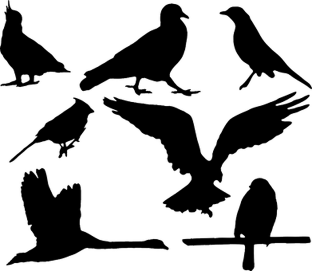 Versatile Solid Black Background Template - Transparent PNG Wallpaper