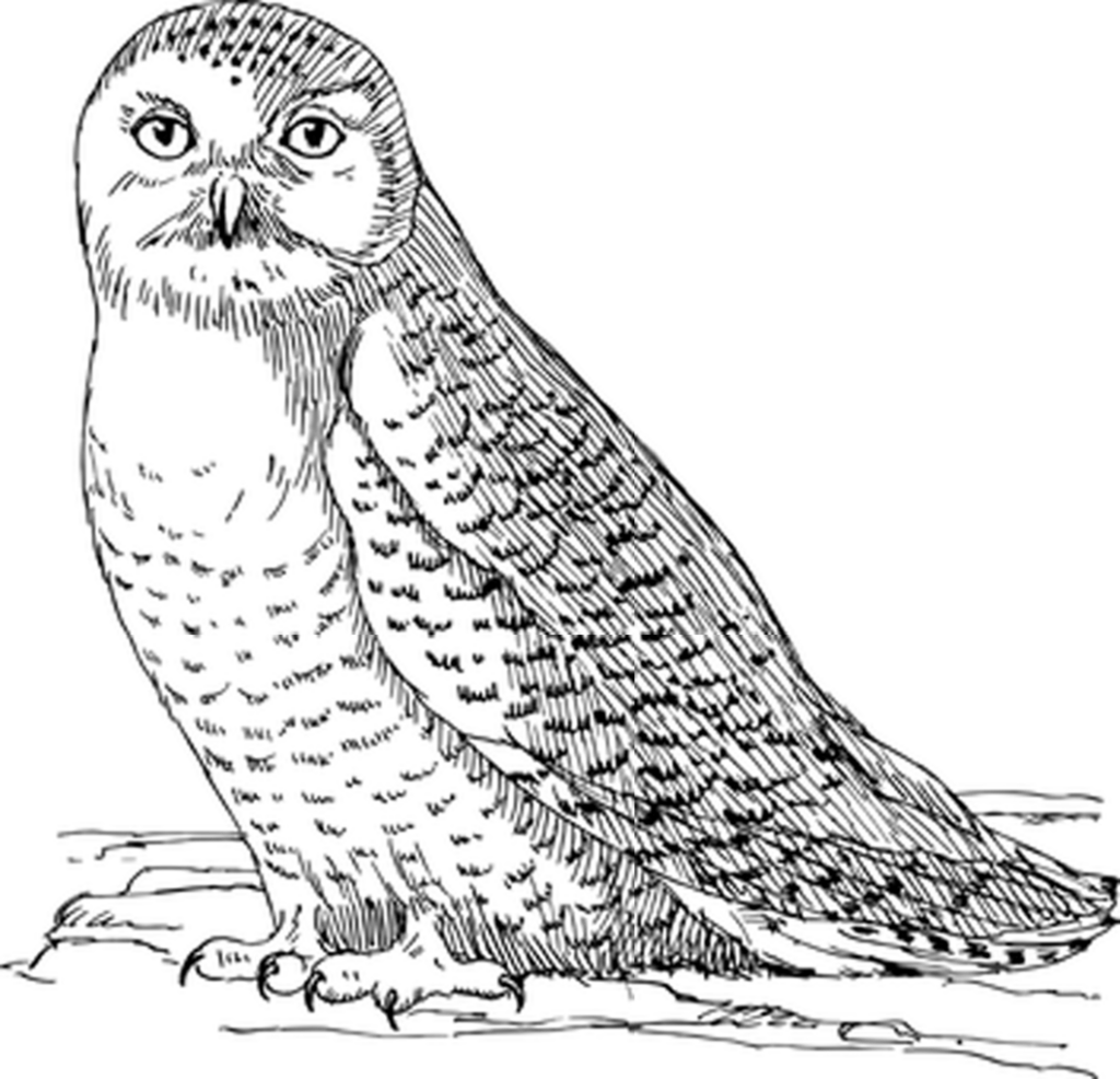 Versatile Black Screen Background for Digital Design Projects Wallpaper