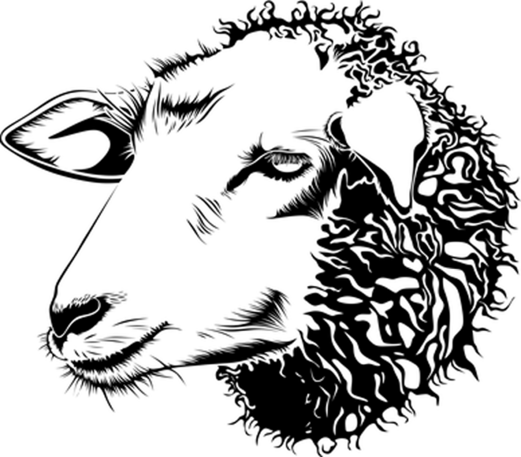 Versatile Plain Black Wallpaper - Minimalist Background & Screen Saver