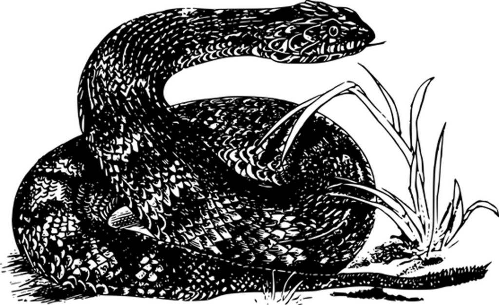 Versatile Black Wallpaper for Minimalist Design and Backgrounds