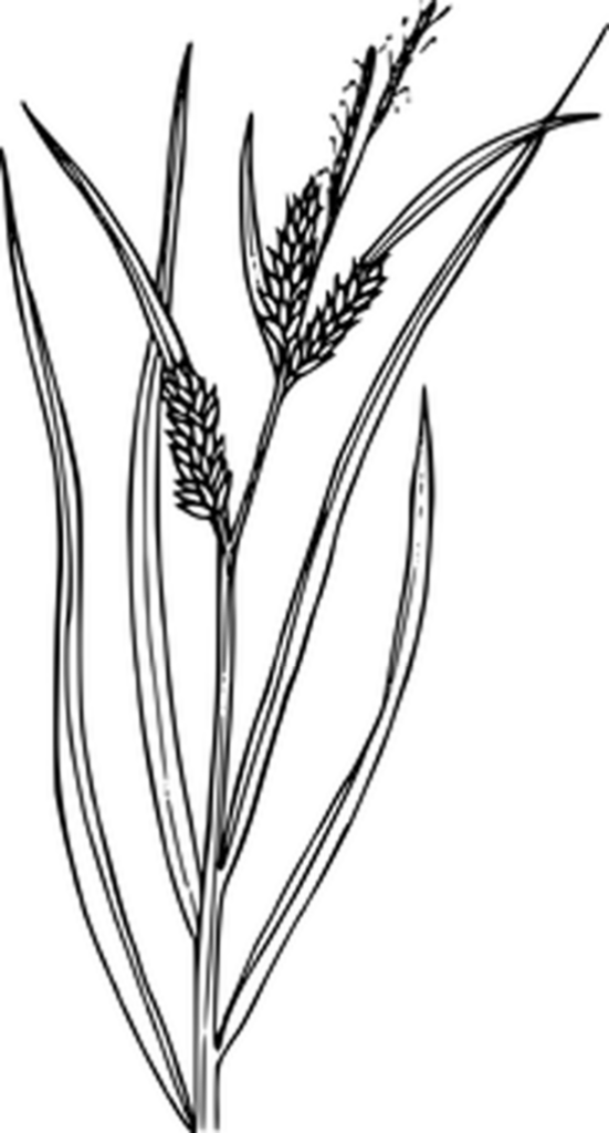 Versatile Blank Black Wallpaper - Ideal Placeholder Background