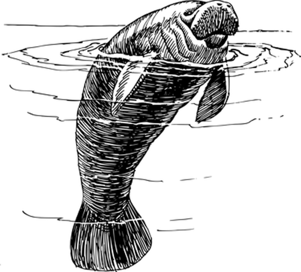 Versatile Black Screen Background for Design Projects Wallpaper