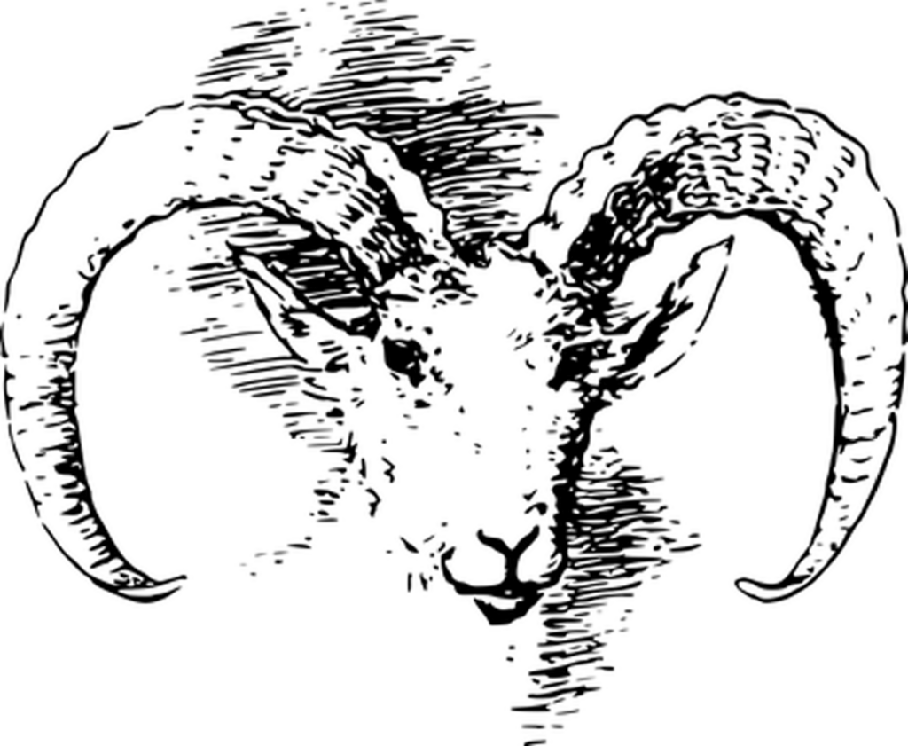 Versatile Black Screen Background for Digital Design Templates Wallpaper