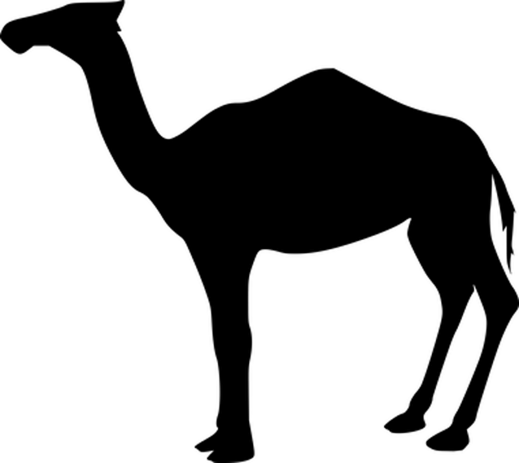 Versatile Solid Black Wallpaper: Minimalist Background Template