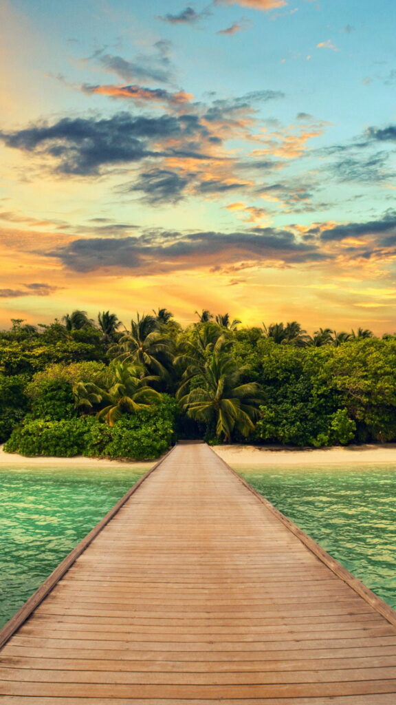 Vertical Summer Bliss: Vibrant HD Wallpaper for Your Phone Background