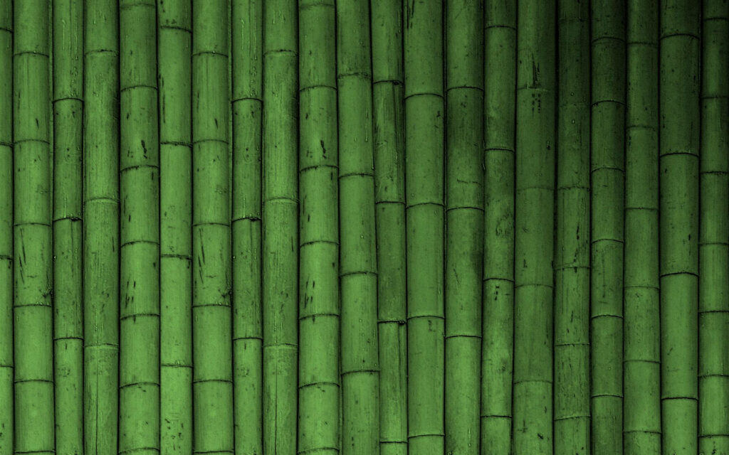Serene bamboo wallpaper featuring lush green stalks with natural textures and Zen aesthetic