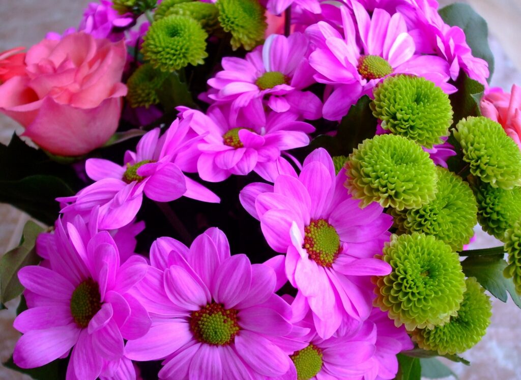 Vibrant 1440x1050 Floral Wallpaper: Bright Chrysanthemums & Roses