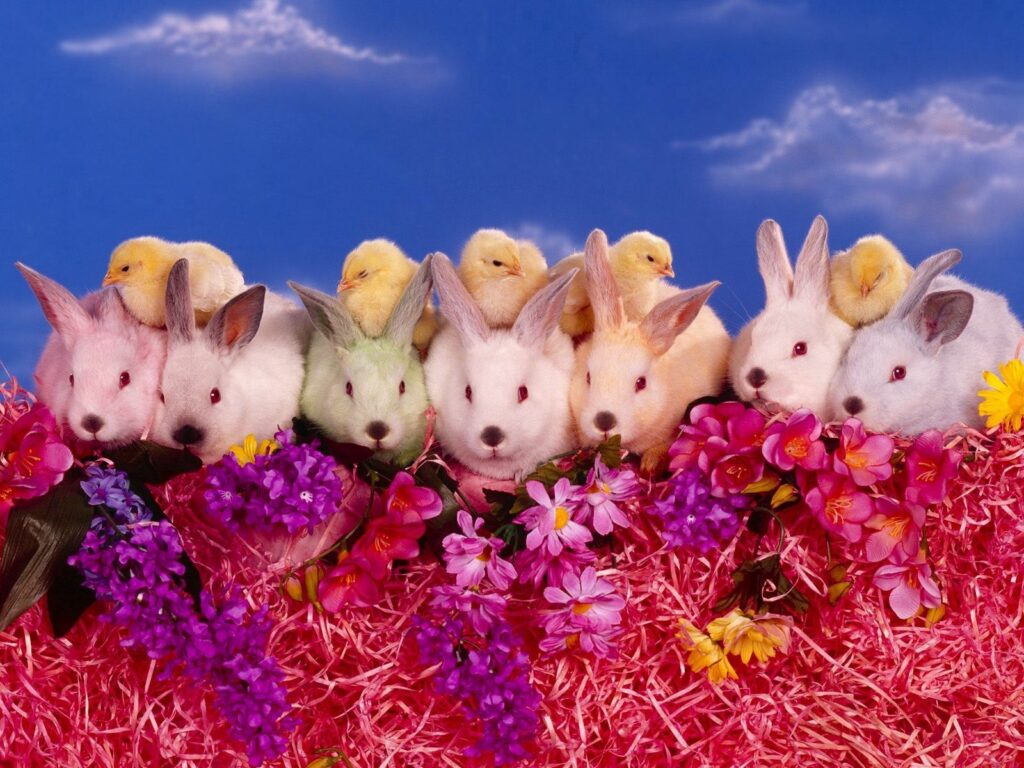 Vibrant Rabbit and Chick Wallpaper Among Colorful Flowers