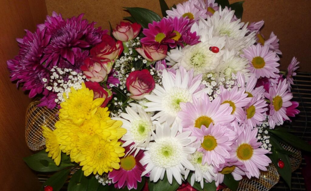 Colorful Rose and Chrysanthemum Bouquet Wallpaper with Ladybugs