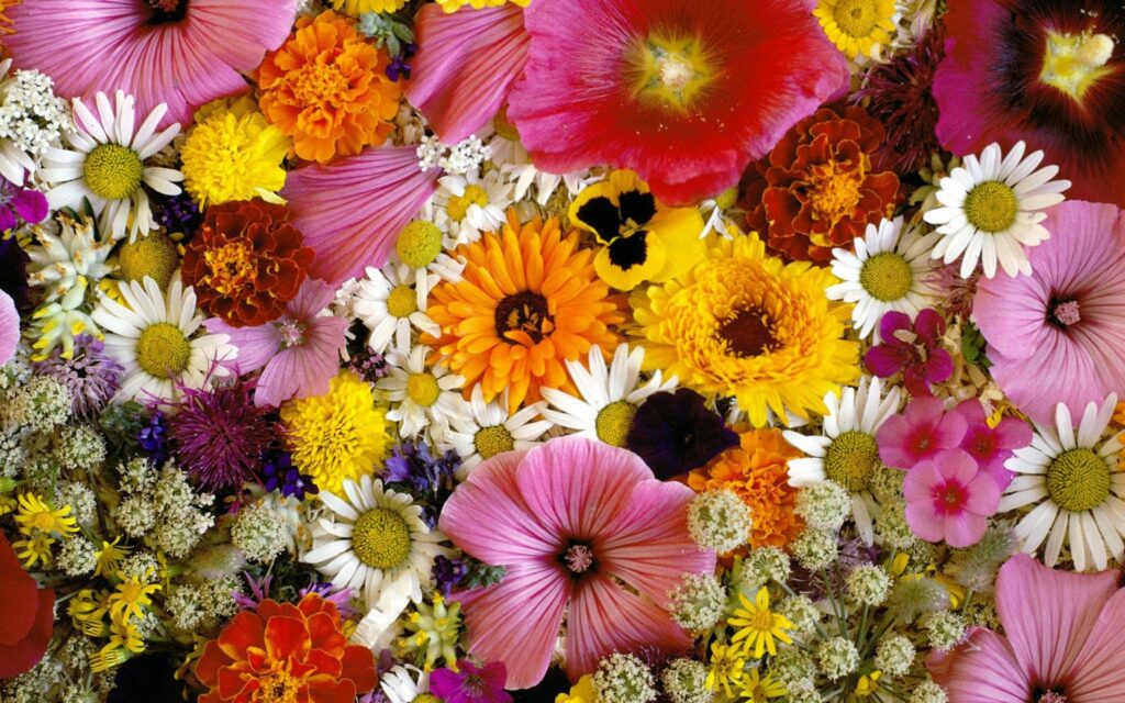 Vibrant Floral Tapestry Wallpaper 2560x1600 - Colorful Bouquet Background