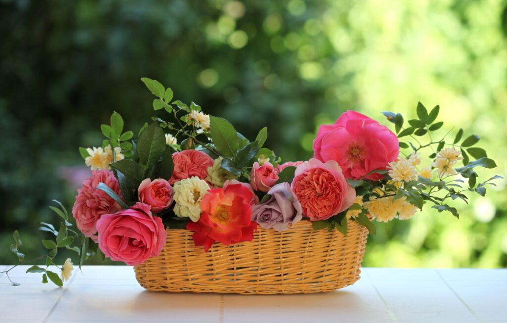 Vibrant 3200x2040 Floral Wallpaper: Roses in Lush Garden Background