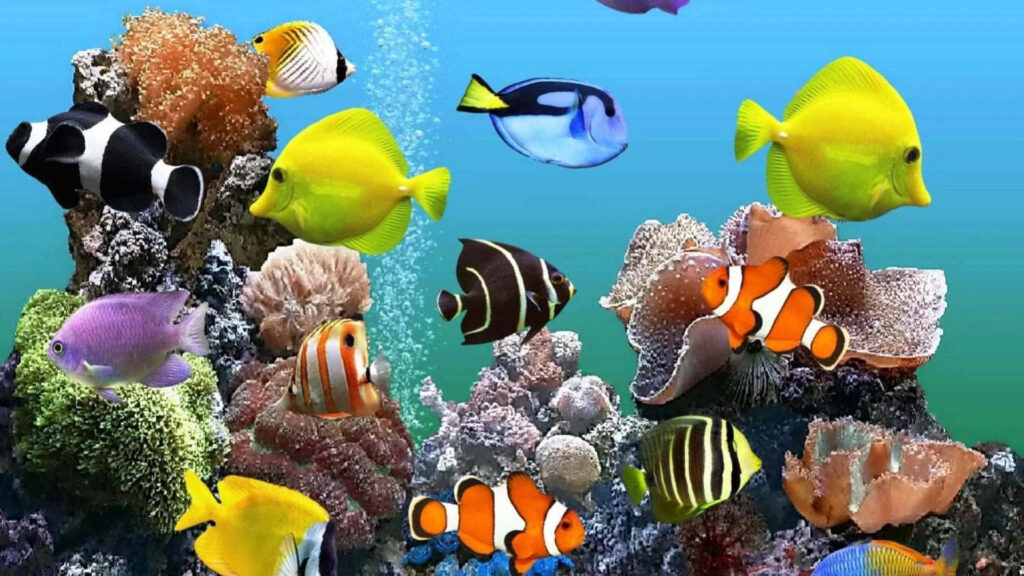 Vibrant 3D Fish Tank Wallpaper: Colorful Tropical Fish & Coral Background