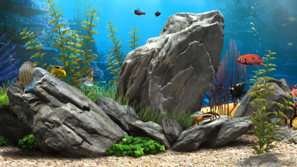 Vibrant 3D Fish Tank Wallpaper with Tropical Fish & Lush Background