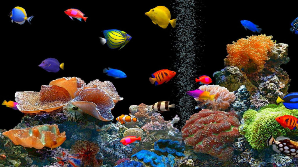 Vibrant 3D Fish Tank Wallpaper: Colorful Coral & Tropical Fish