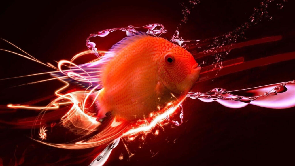 “Vibrant 3D Orange Fish Wallpaper with Abstract Red and Black Background”
