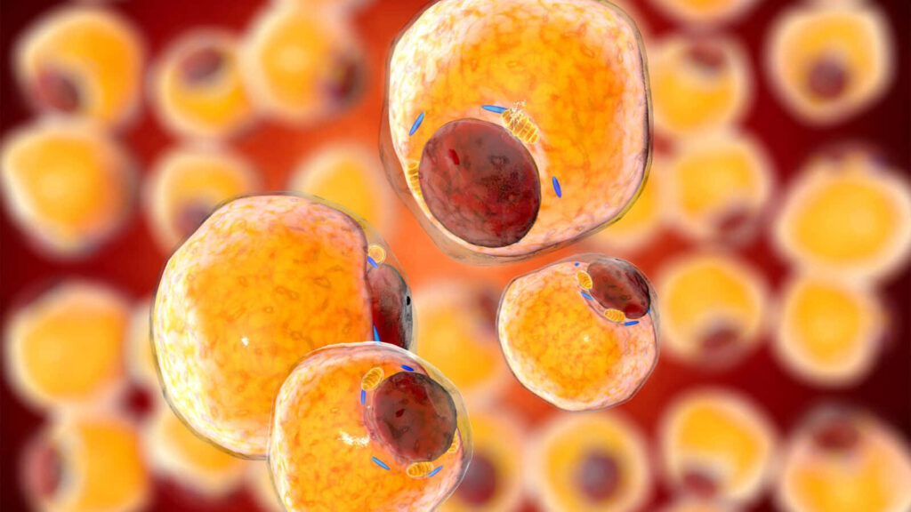 Vibrant 3D Cell Wallpaper: Revitalize Your Living Space Today!