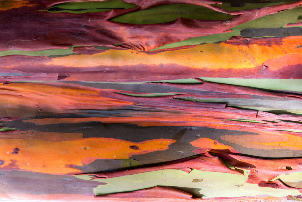 Colorful Abstract Wallpaper: Layered Textures in Vibrant Hues