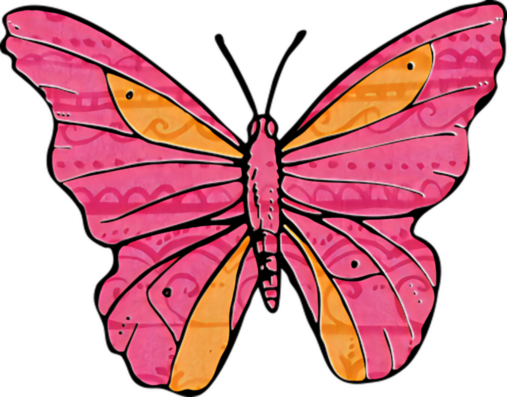 Vibrant Abstract Butterfly Wallpaper: Pink & Orange Design