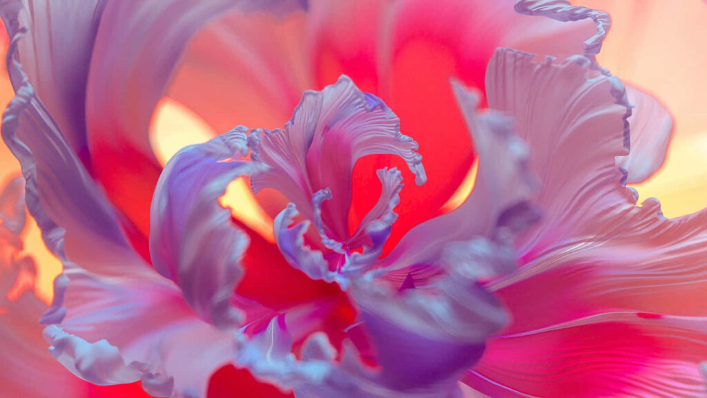 Vibrant Abstract Flower Wallpaper: Elegant Purple, Red & Pink Design