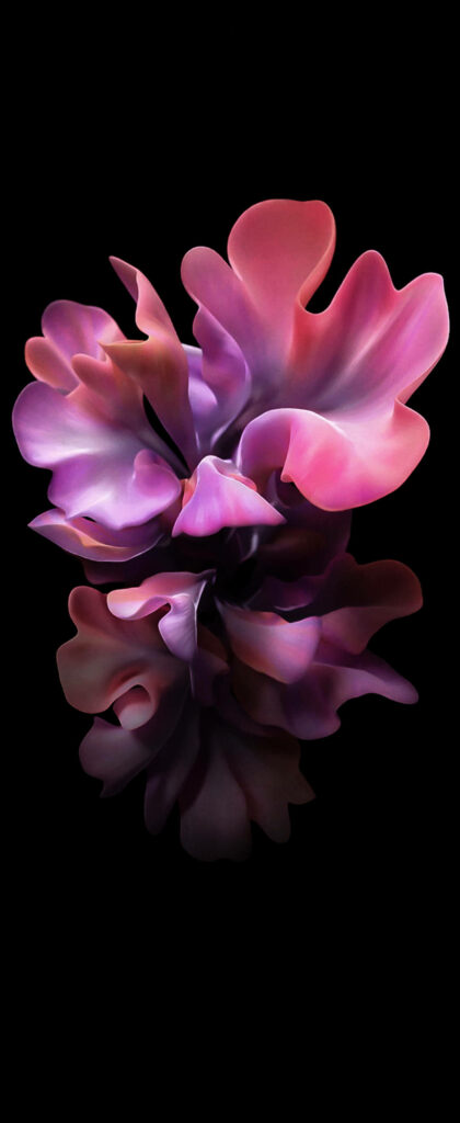 Vibrant Abstract Flower Wallpaper for Samsung S20 FE - Red & Purple