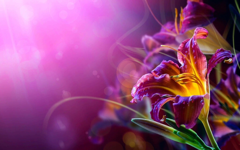 Vibrant Abstract Lily Wallpaper with Soft Light Background