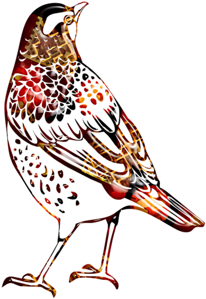 Vibrant Abstract Multicolored Bird Wallpaper PNG Design