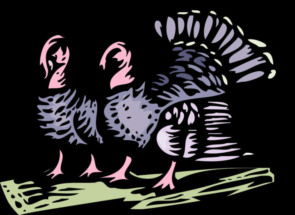 Vibrant Abstract Turkey Wallpaper: Modern Wildlife Art Design