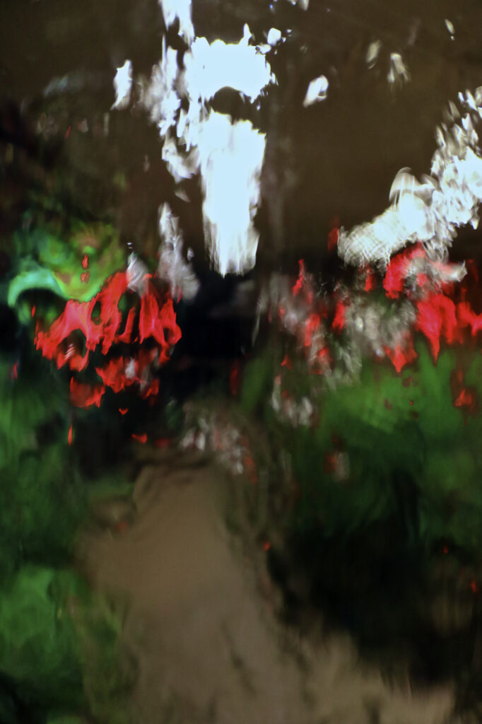 Vibrant Green & Red Abstract Background - Blurred Artistic Texture Wallpaper