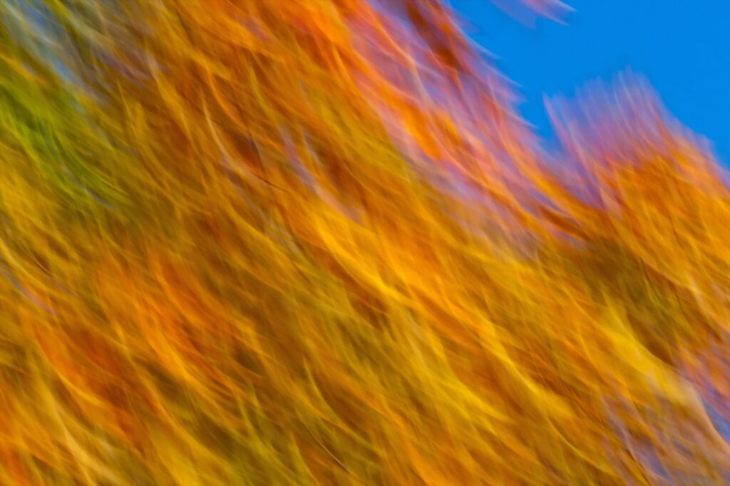 Dynamic Colorful Swirls Abstract Wallpaper - Vibrant Autumn Backdrop