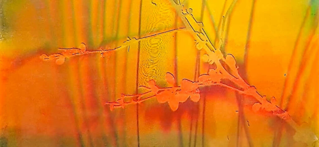 Vibrant Abstract Wallpaper: Warm Yellows & Reds with Plant Silhouettes