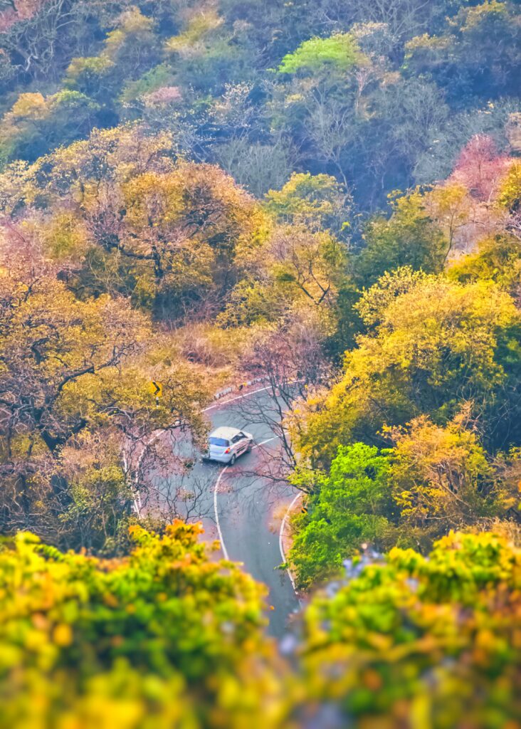 Aerial view of winding road through colorful forest with car navigating sharp turn wallpaper background