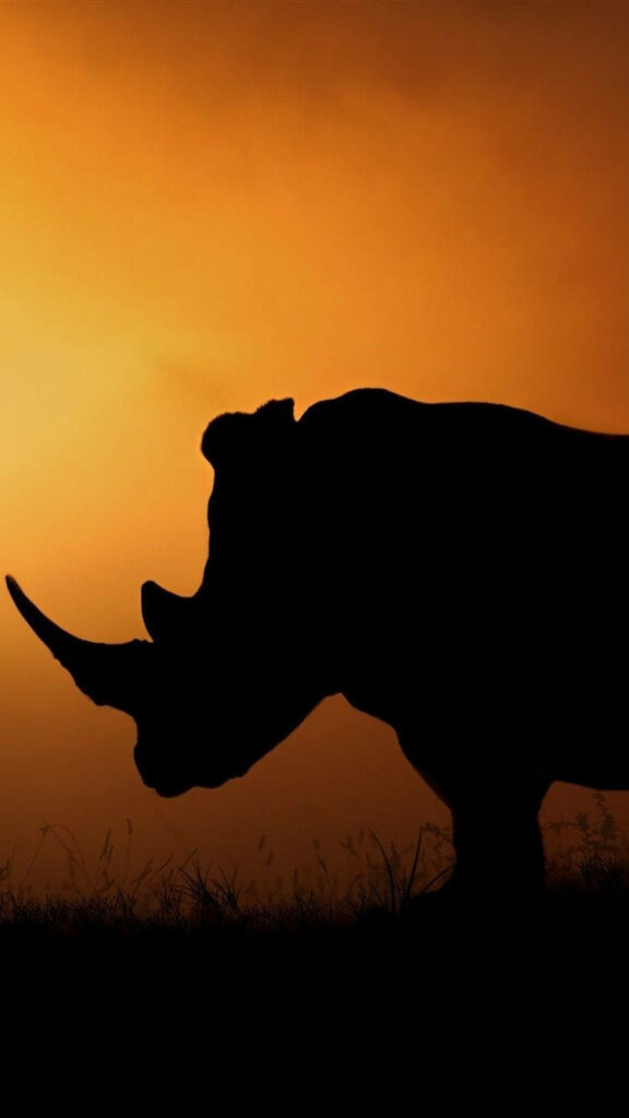 Vibrant African Sunset Rhinoceros Silhouette iPhone Wallpaper
