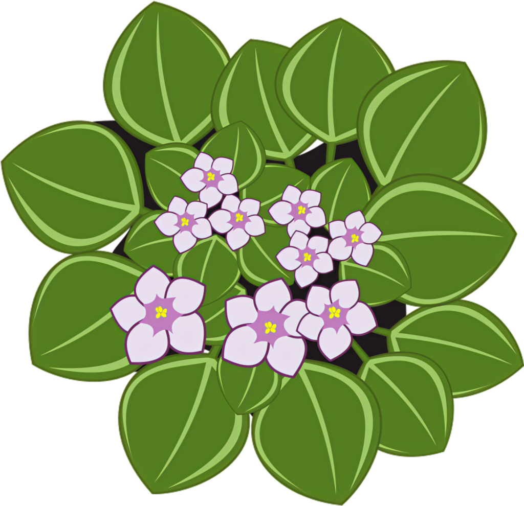 Vibrant African Violet Wallpaper PNG: Illustrated Green Leaves & Flowers