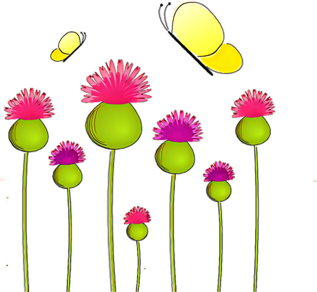 Vibrant Anemone Flowers Wallpaper: Abstract Nature Art on Black Background