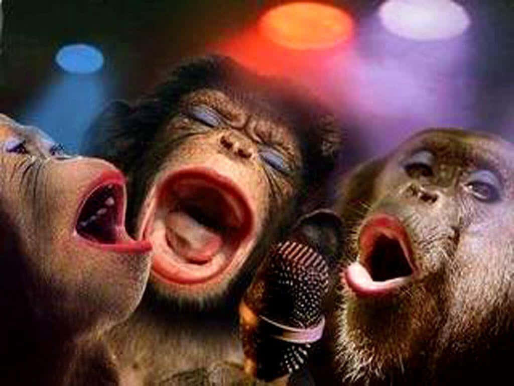 Vibrant Monkey Singers Wallpaper with Colorful Stage Lights