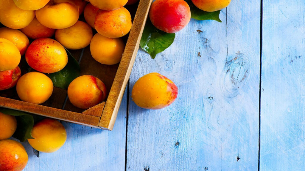 Vibrant Apricot Wallpaper: Freshly Harvested on Rustic Blue Table