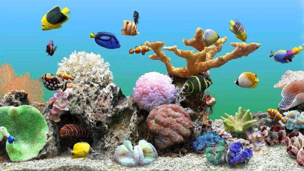 Colorful Underwater Aquarium Wallpaper with Diverse Fish & Corals