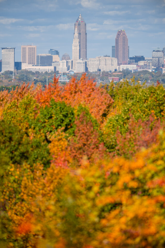 Vibrant Autumn Cityscape Wallpaper: Fall Foliage & Modern Skyline