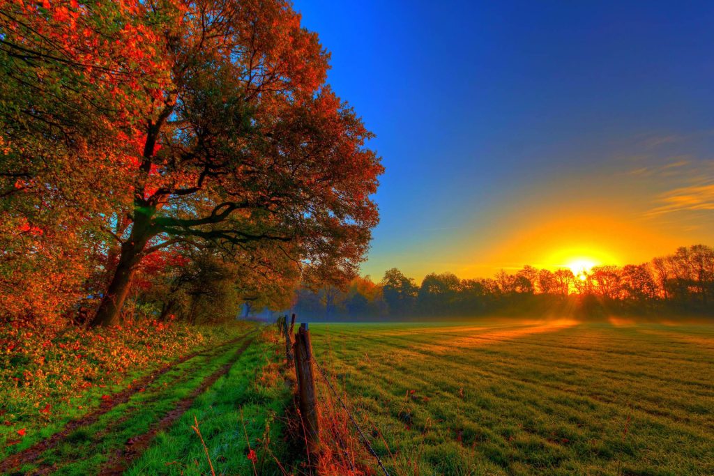 Vibrant autumn farm scene with red tree golden sunrise rustic fence and green grassy path Wallpaper