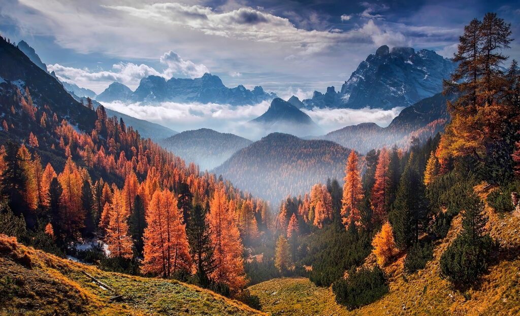Vibrant Autumn Forest Wallpaper with Dramatic Mountain Sky